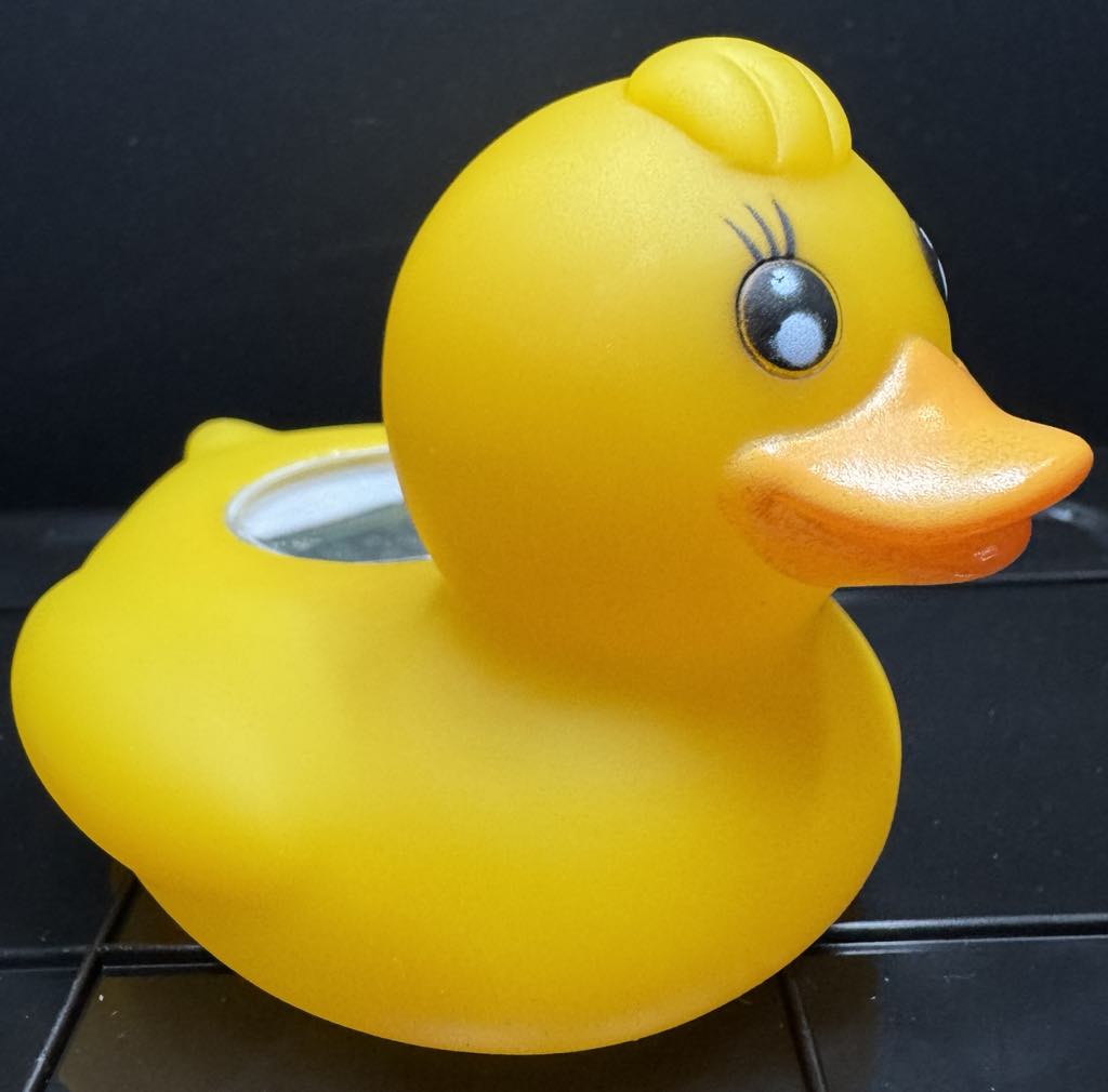 Thermometer Duck