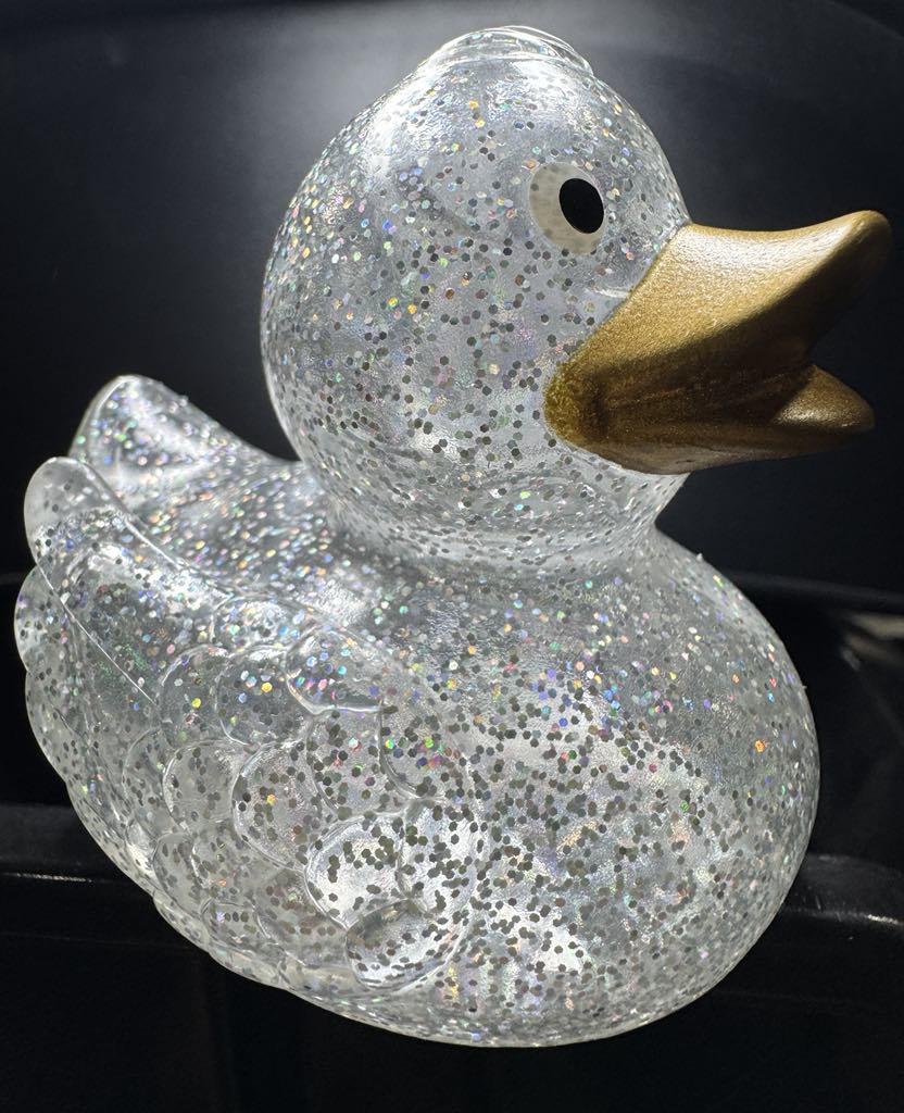 Glitter Duck
