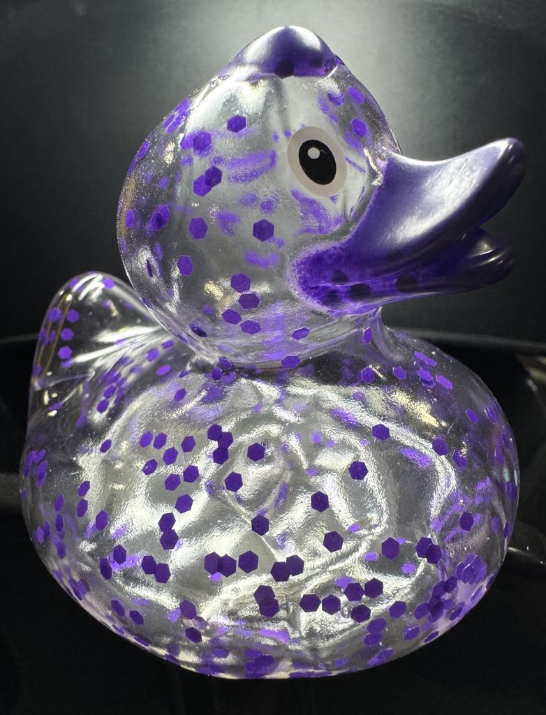 Glitter Duck