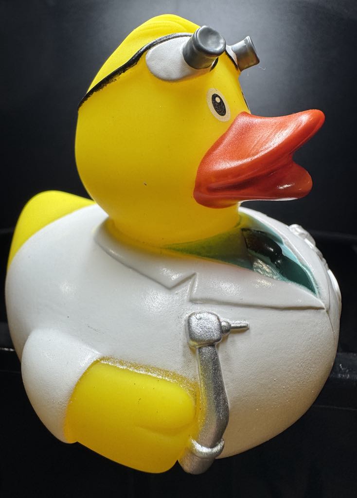 Workin' Ducks