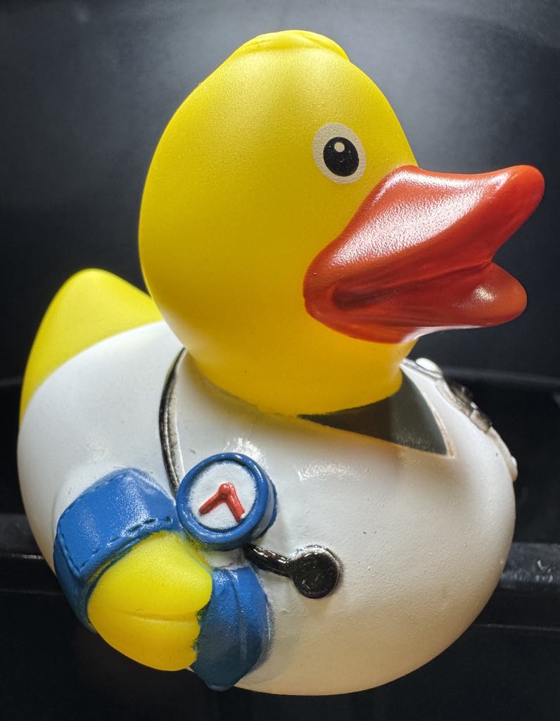 Workin' Ducks