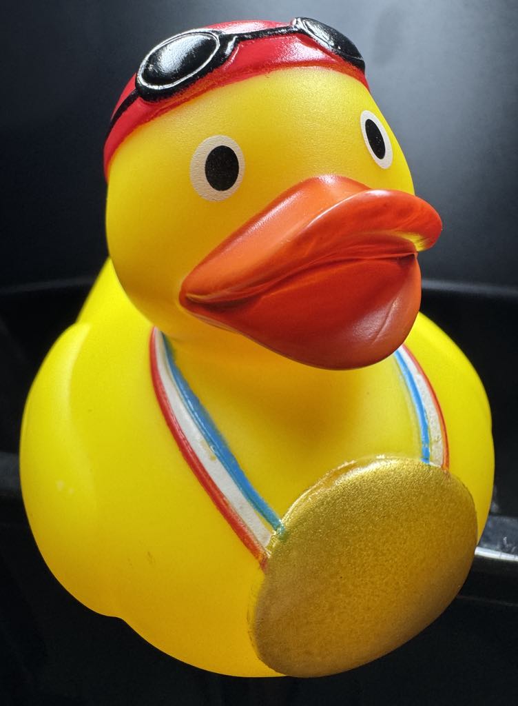 Workin' Ducks