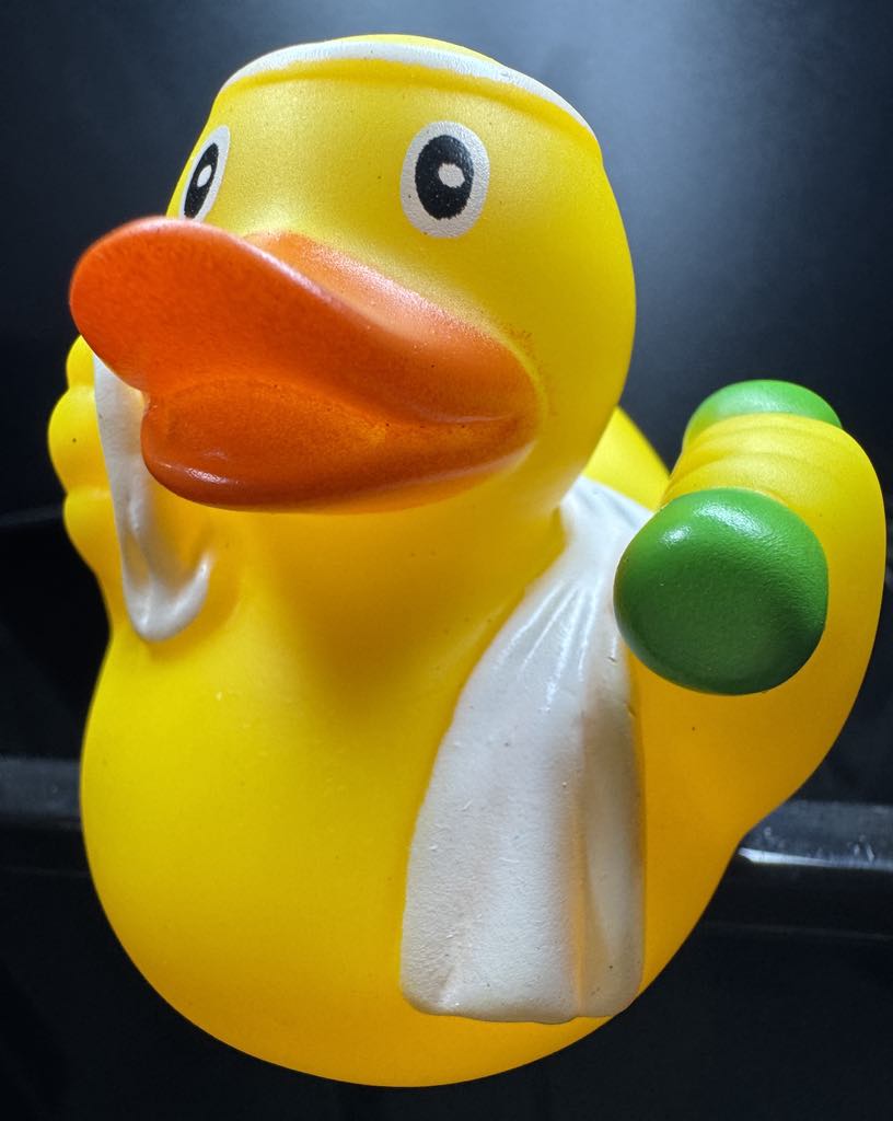 Workin' Ducks