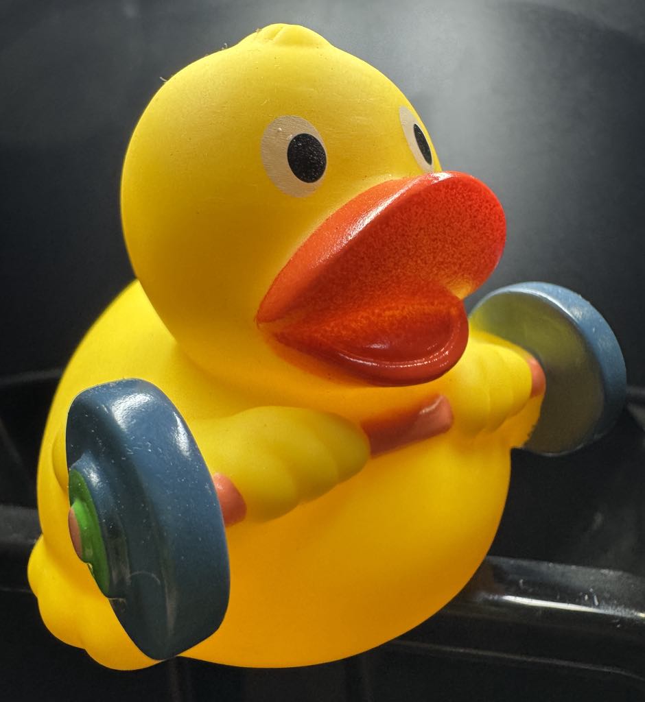 Workin' Ducks