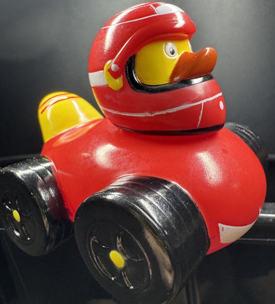 Workin' Ducks