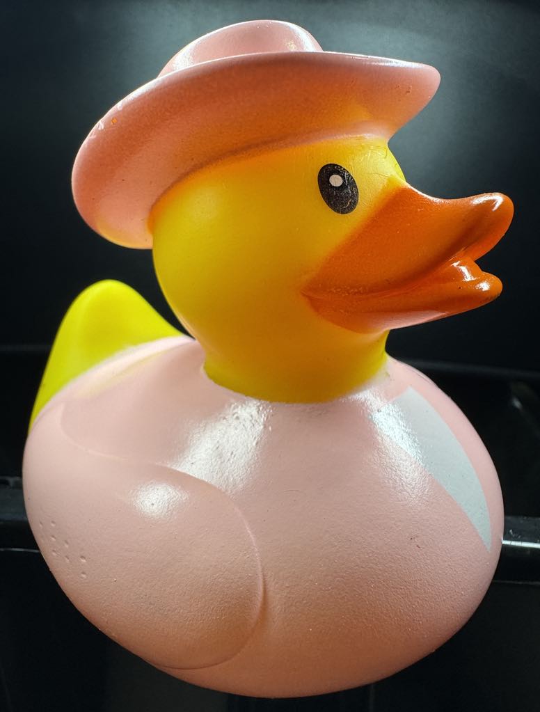 Workin' Ducks