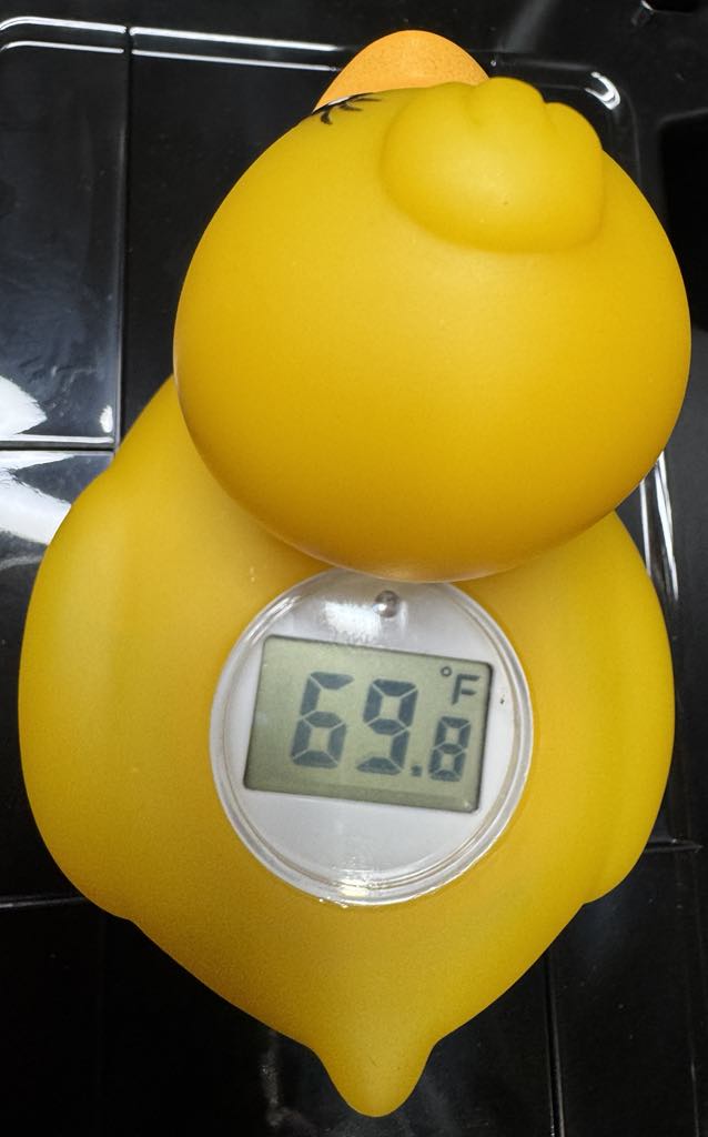Thermometer Duck