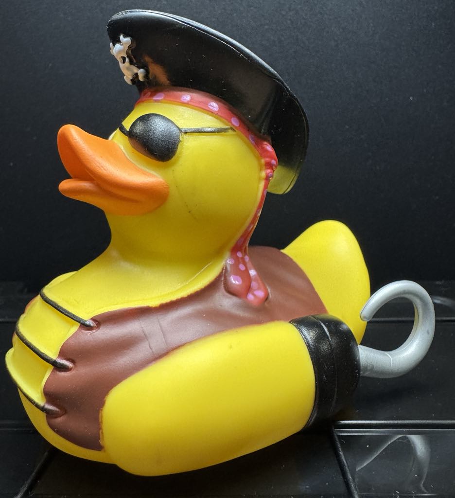 Pirate Duck