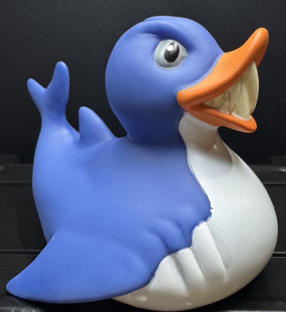 Shark Duck