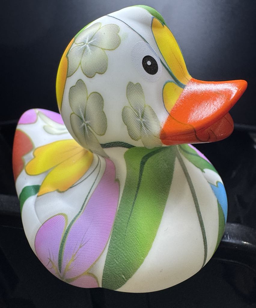 Floral Ducks