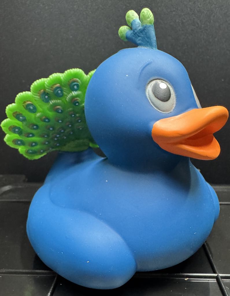 Peacock Duck