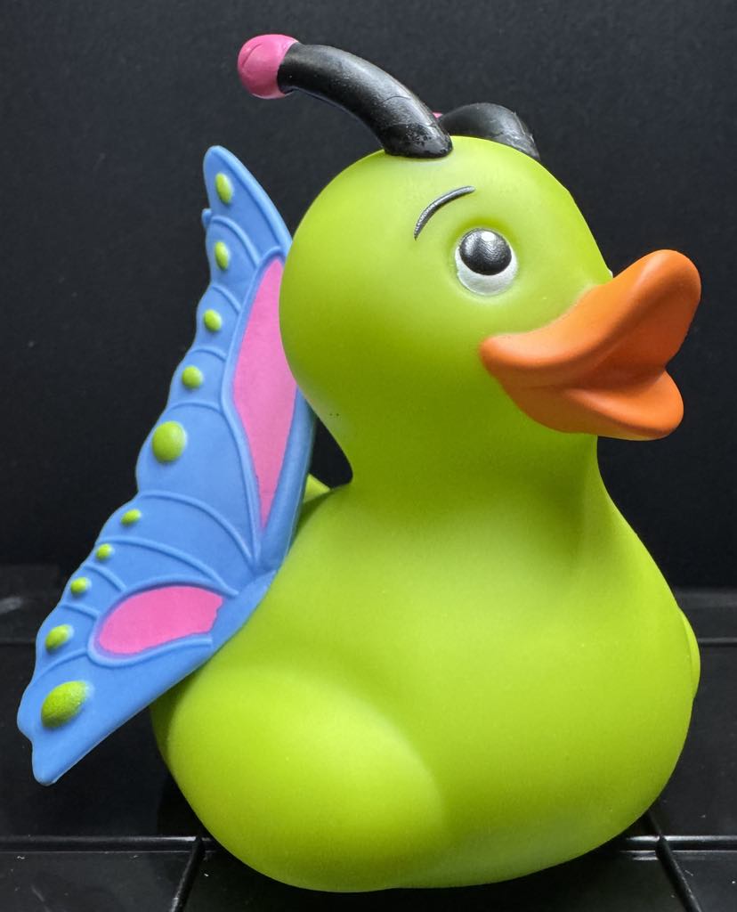 Butterfly Duck