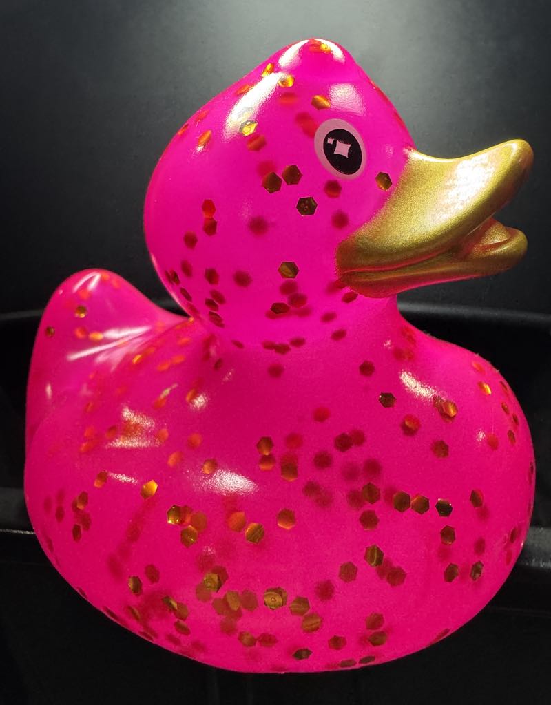 Glitter Duck