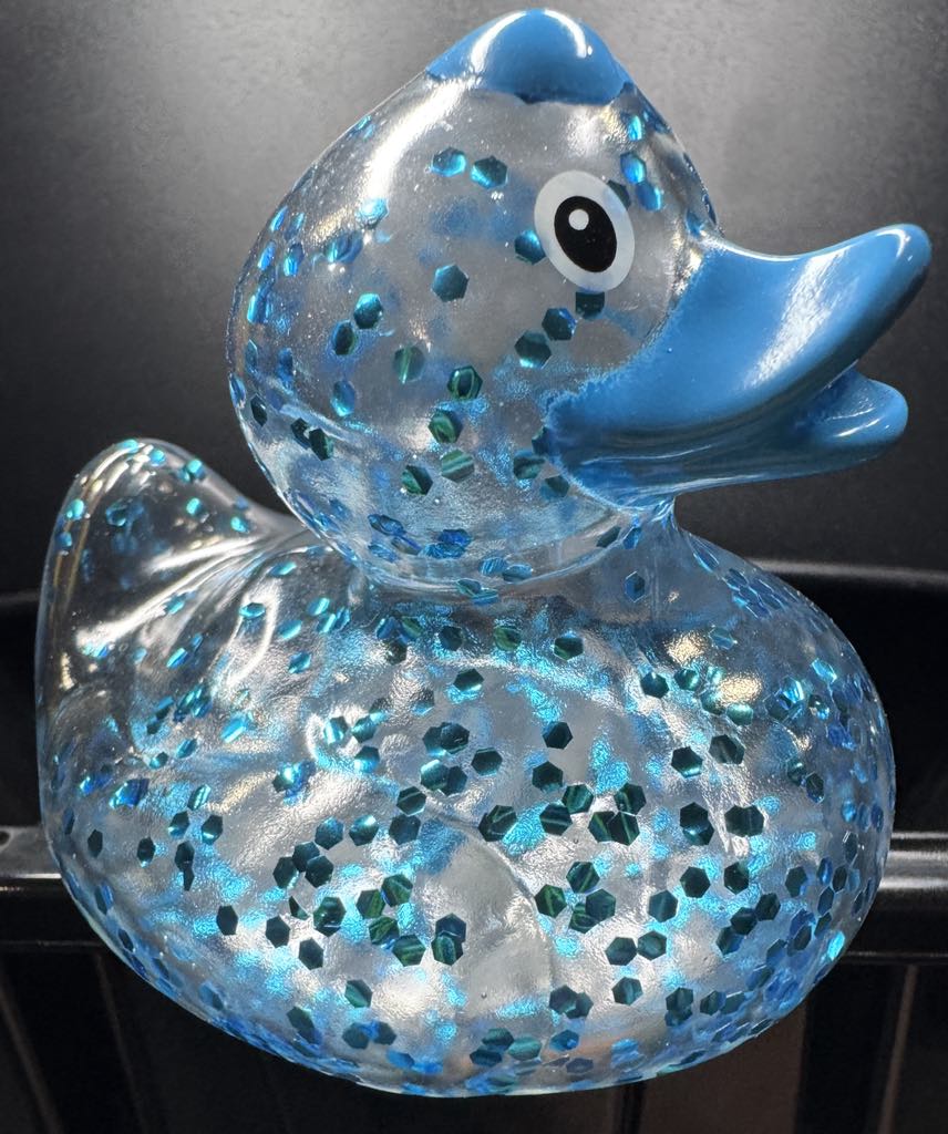 Glitter Duck