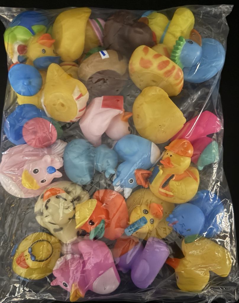 Bulk Ducks