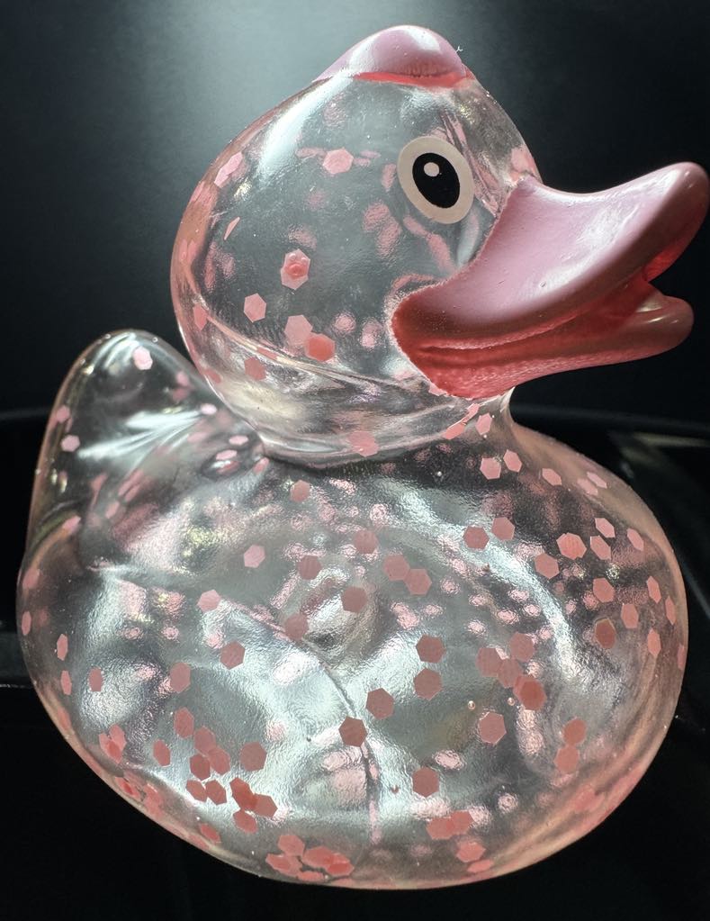 Glitter Duck