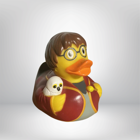 Wizard Student Duck