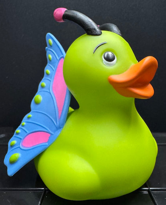Butterfly Duck